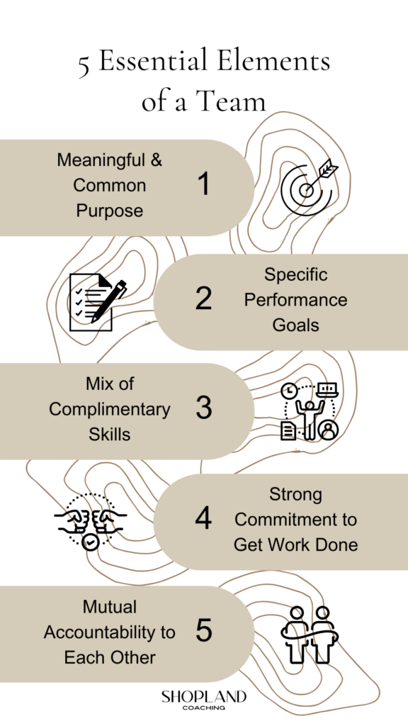 essential elements of a team